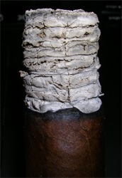 Rocky Patel Decade - 8